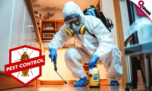 Protect your Home with a Pest Control Treatment!